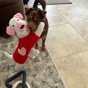 Dog Shaped Throw Pillow (or Dog Toy) w/Heart Sweater BRAND NEW